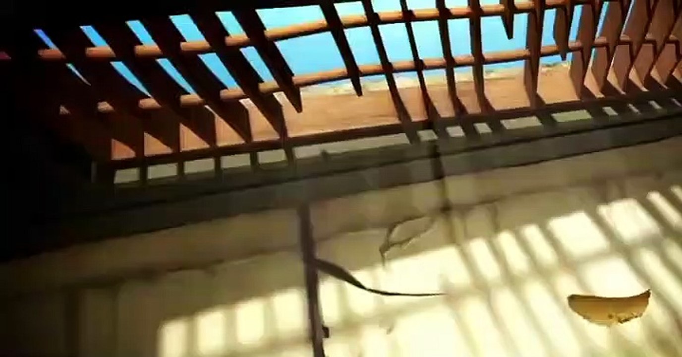 Larva Larva S01 E018 Cocoon 1