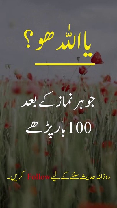 Ya ALLAH Hu #allah #islam #islamic #islamicstatus #nameofallah usama  2023