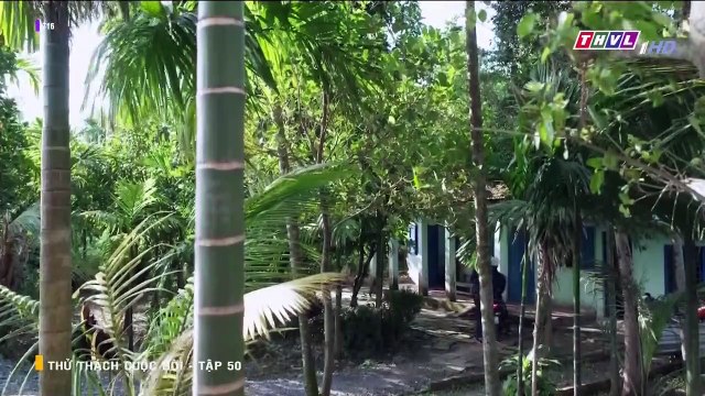 thử thách cuộc đời tập 50 - phim Việt Nam THVL1 - xem phim thu thach cuoc doi tap 51