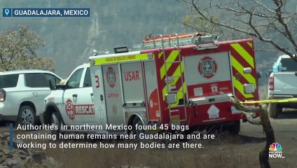 Meksika'da Ormanlık Alanda Kadın ve Erkek Cesetleri Bulundu