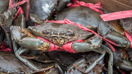 How to Buy, Clean, and Eat Soft-Shell Crabs