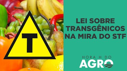 STF julga lei sobre transgênicos na próxima semana; entenda! | HORA H DO AGRO