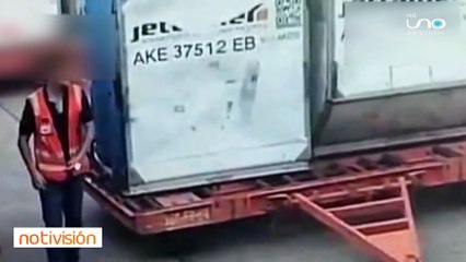 Imágenes del cargamento de droga en el aeropuerto de España