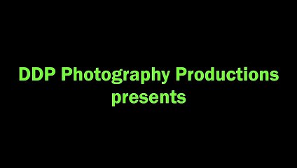 R2-D2 Stop·motion | movie | 2022 | Official Clip