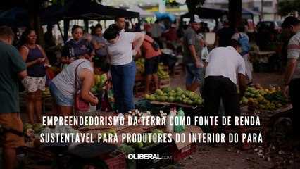 Empreendedorismo da terra como fonte de renda sustentável para produtores do interior do Pará