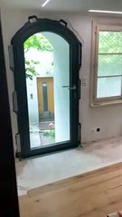 Cat Confounded by Newly Installed Glass Door