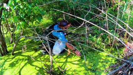 Habitat Clean Up to Save Turtles!