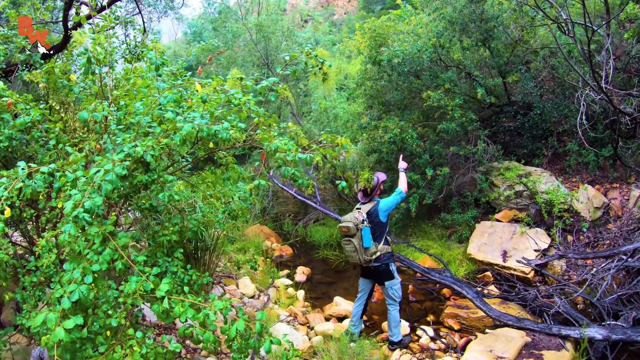 We DISCOVERED Ancient Cave Paintings!