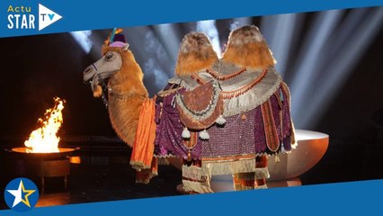 Mask Singer : quelles célébrités se cachaient sous le Chameau et ont fini troisièmes lors de la fina