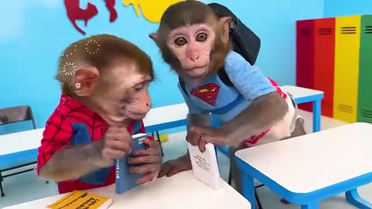 Monkey_Baby_Bon_Bon_go_to_school_by_bus_and_swimming_with_ducklings_in_the_pool(360p)
