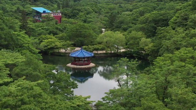 [날씨] 전국 초여름 날씨...녹음이 짙은 내장산 '초록 단풍' / YTN