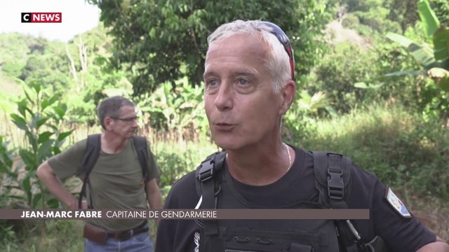 La lutte de l'État contre les plantations illégales à Mayotte