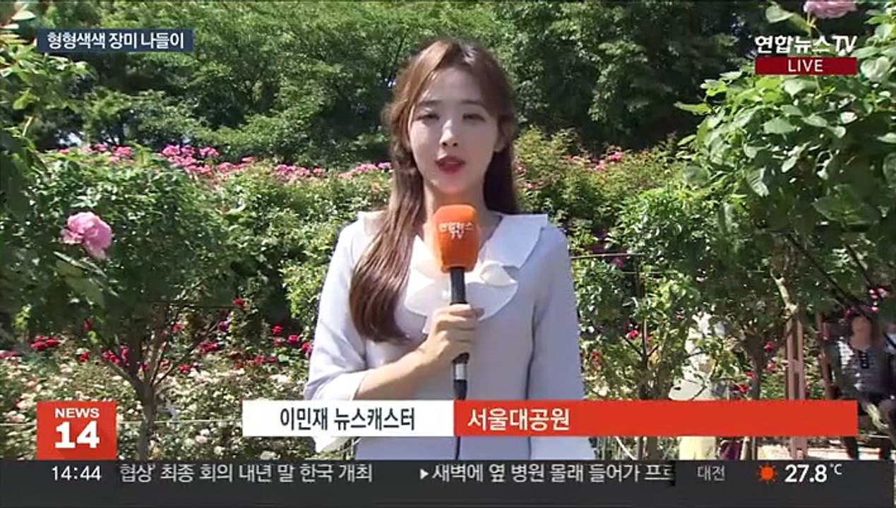 4년 만에 열린 장미원 축제…형형색색 꽃 나들이