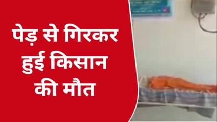 जताराः आम तोड़ना किसानों को भरा पाड़ी,1 गलती और गवानी पड़ी जान