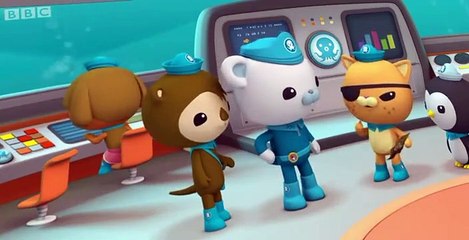 The Octonauts The Octonauts S01 E045 – The Pirate Parrotfish