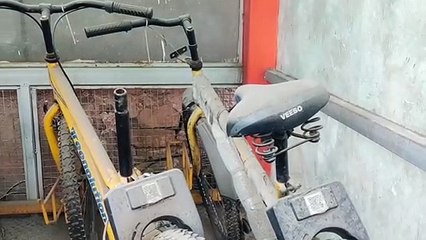 world bicycle day: 65 लाख खर्च किए, धरातल पर नहीं उतर पाया साइकिल शेयरिंग प्रोजेक्ट