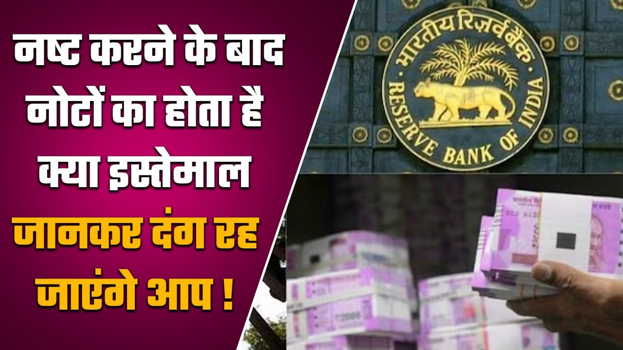 Recycling Of Banknotes: Currency को नष्ट करने के बाद कैसे होता है इनका इस्तेमाल | वनइंडिया हिंदी