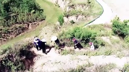 9 tombes nobles de la dynastie Shang découvertes en Chine