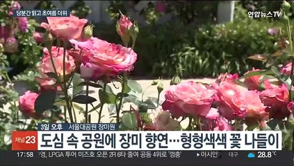 현충일 징검다리 연휴 맑음…더위 속 자외선·오존 주의