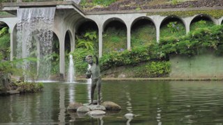 Madeira Botanical Garden | Free Stock Video | Romance Post BD