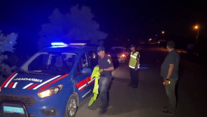 Başıboş sokak köpeğinin önüne atladığı kamyonet şarampole uçtu: 4 yaralı