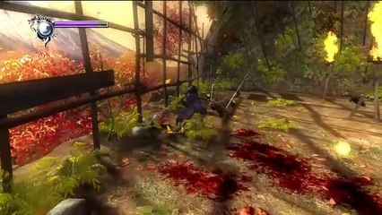 Ninja Gaiden Sigma online multiplayer - ps3