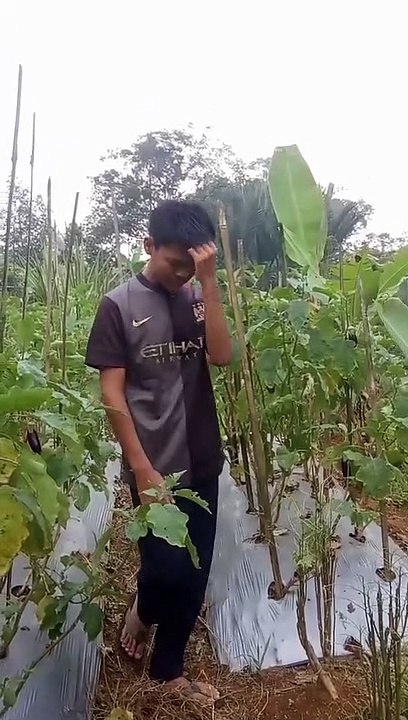 liat endingnya