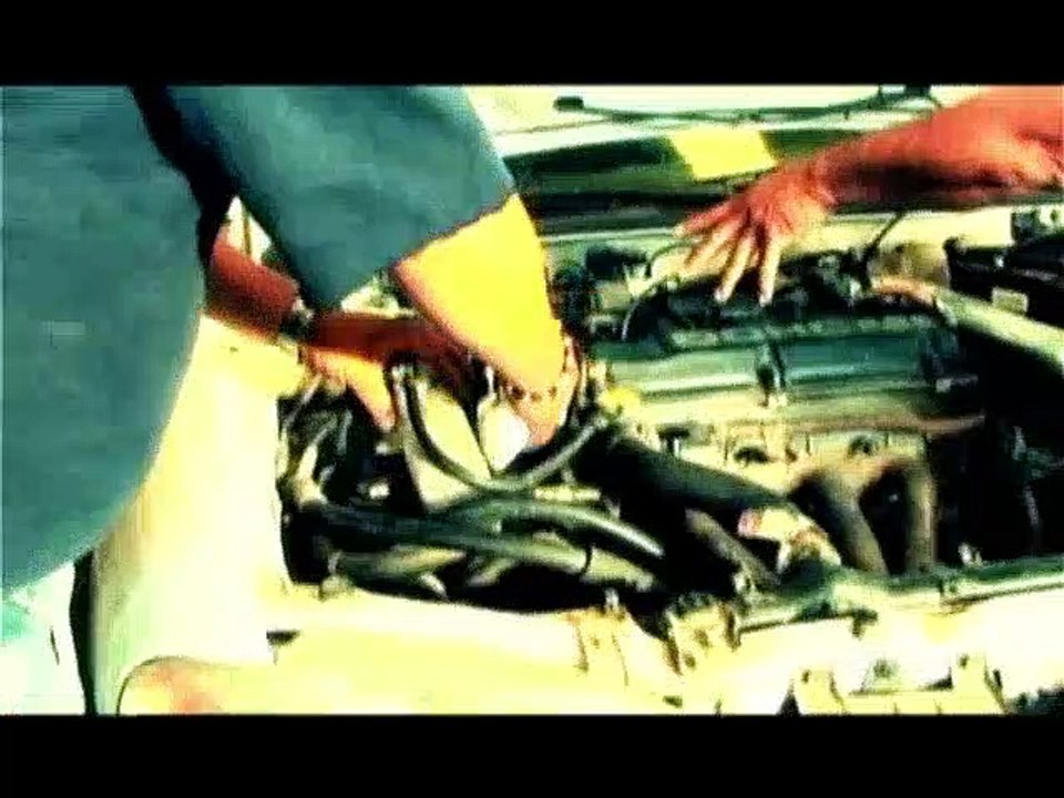 Inicio Y Cierre El Águila Blanca Pirata DVD