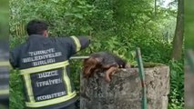 Kuyuya düşen köpek itfaiye yardımıyla kurtarıldı
