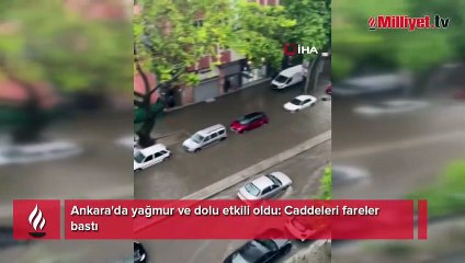Ankara'da yağmur ve dolu etkili oldu! Caddeleri fareler bastı