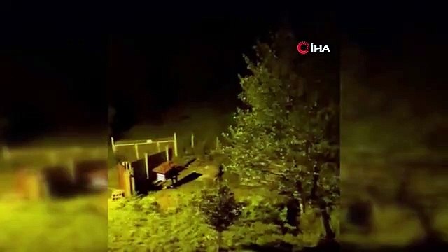 Çay bahçesine giren ayı büyüklüğü ile herkesi şaşırttı
