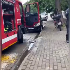 Kafası demirlere sıkışmış gibi yapan köpek kendisini kurtarmaya gelenleri böyle kandırdı