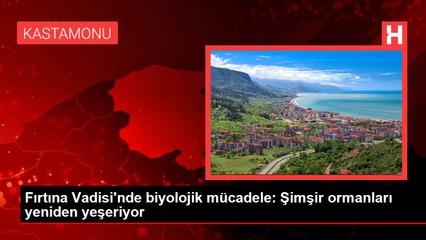 Fırtına Vadisi'nde biyolojik mücadele: Şimşir ormanları yeniden yeşeriyor