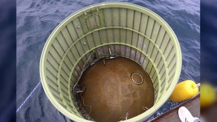 '北 발사체 잔해' 내일 인양할 듯...한미 "인양하면 공동조사" / YTN