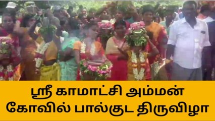 தஞ்சை: ஸ்ரீ காமாட்சி அம்மன் கோவில் பால்குட திருவிழா!