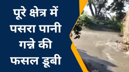 कुशीनगर: नहर टूटा, सैकड़ों एकड़ फसल जलमग्न