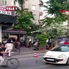 İstanbul'da kargalar esnafa saldırdı