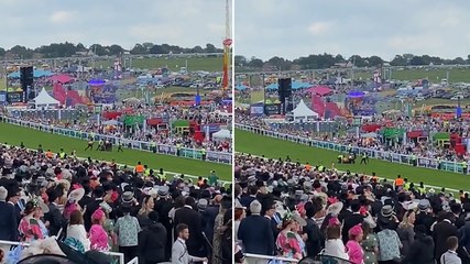 Watch: Epsom Derby Festival protester swarmed by guards and dragged off racecourse after running onto track
