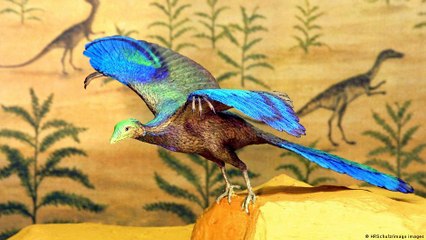 ما علاقة الديناصورات بثاني أكسيد الكربون