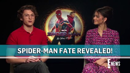 Zendaya and Tom Holland's Future on Spider-Man Revealed _ E! News