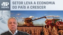 Especialista analisa crescimento do PIB do agro do Brasil: “Safra recorde de grãos”