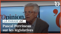 Pascal Perrineau: «Sans majorité absolue, Emmanuel Macron apprendra un peu de culture parlementaire»