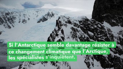 La superficie de la banquise antarctique, au plus bas depuis plus de 40 ans