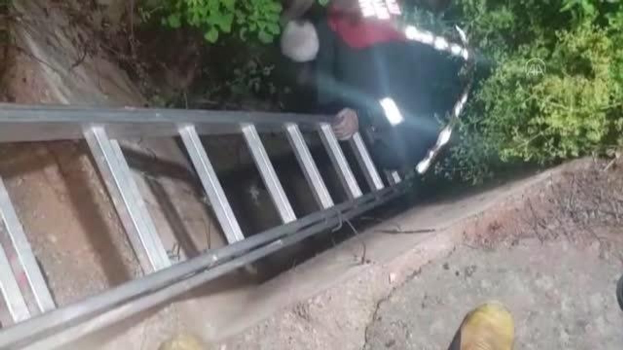 Kuyuya düşen köpek yavrusunu itfaiye kurtardı