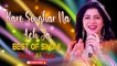 Kare Singhar Na Ach Ja | Shahid Ali Zarei | New Sindhi Song | Sindhi Gaana