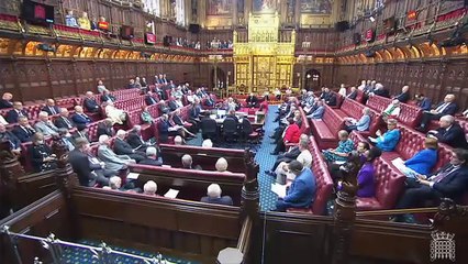 Rocketing petrol prices 'causing real hardship', Tory peer warns