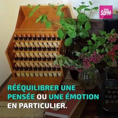Fleurs de Bach : Mais d'où viennent les élixirs floraux ?