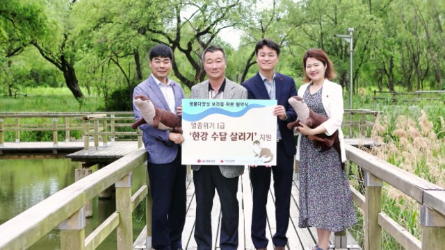 [기업] LG생활건강, 한강에 멸종위기 1급 수달 놀이터 설치 / YTN