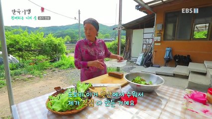 한국기행 - Korea travel_친애하는 나의 숲 2부- 모녀의 식물도감_#002