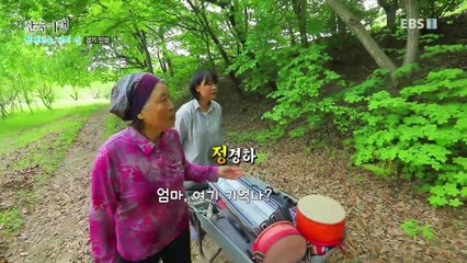 한국기행 - Korea travel_친애하는 나의 숲 2부- 모녀의 식물도감_#001